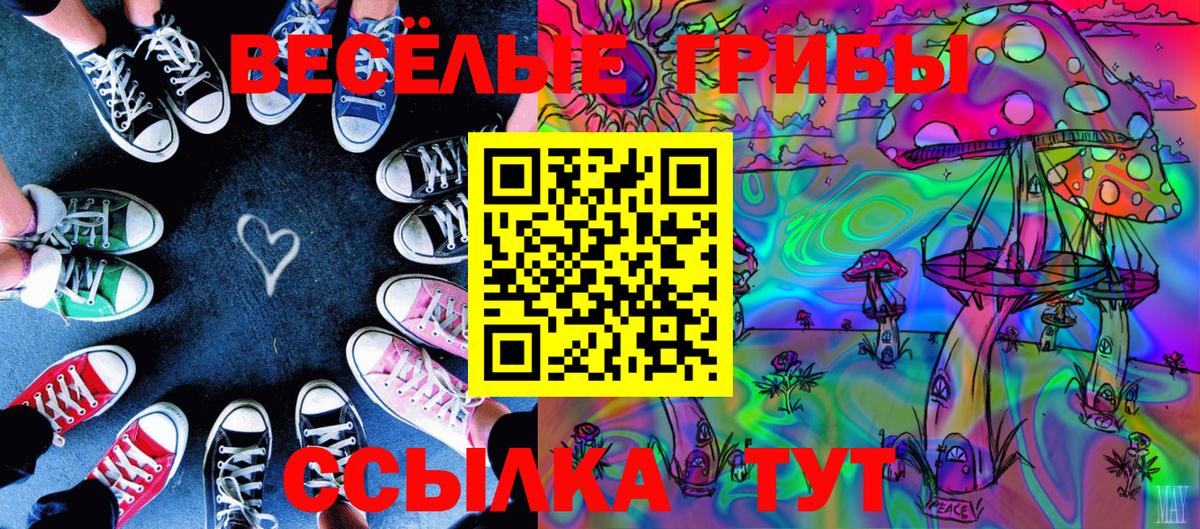 закладки  Псилоцибиновые грибы MAGIC MUSHROOMS  Вход с VPN  Бугуруслан 