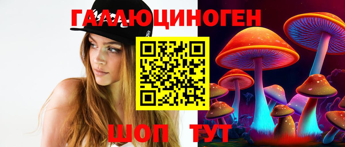 Галлюциногенные грибы Psilocybe Бугуруслан